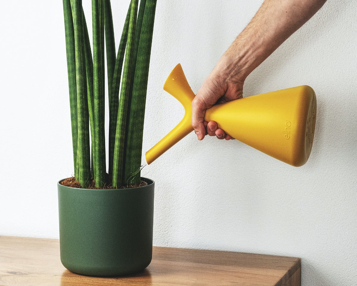 Pflanze in einem grünen Topf mit einer gelben Giesskanne giessen