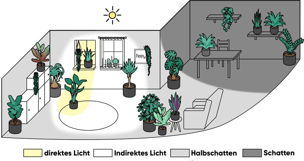 Lichtbereiche: Direktes Licht heisst in unmittelbarer Nähe von Fenstern, indirektes Licht an deren Rand, Schatten in Räumen oder Ecken ohne Fenster