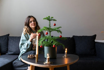 Pflanzen als originelle Geschenke zu Weihnachten – die schönsten Geschenkideen 2022