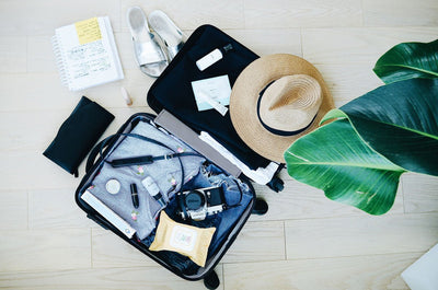 Zimmerpflanzen giessen im Urlaub: Die 5 besten Bewässerungssysteme und weitere Tricks für sorglose Ferien 🏝