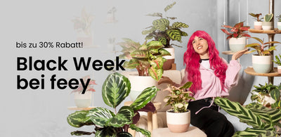 Eine Person mit langem, hellrosa Haar hält eine kleine Topfpflanze und posiert zwischen vielen Zimmerpflanzen auf Regalen und Tischen in einem gemütlichen, sonnendurchfluteten Raum.