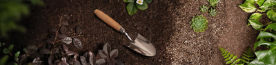 Eine Gartenkelle mit Holzgriff liegt auf der Erde, umgeben von verschiedenen grünen und kastanienbraunen Pflanzen, darunter eine Sukkulente und ein Farn, die ein hübsches Blattwerk bilden.
