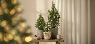 Zwei Personen tauschen Geschenke aus: die eine überreicht eine Topfpflanze, die andere ein eingepacktes Geschenk mit einem gelben Band. Der Hintergrund ist hell und neutral.