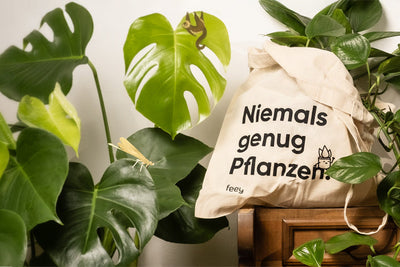 Tragetasche mit dem Text „Niemals genug Pflanzen“ umgeben von verschiedenen grünen Zimmerpflanzen, darunter Monsterablätter. Auf der Tasche thront eine kleine Insektendekoration aus Holz.