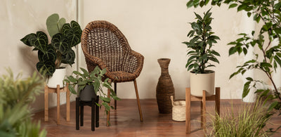 Gemütliches Zimmer mit einem Korbstuhl, umgeben von verschiedenen Topfpflanzen auf Holzständern. Eine geflochtene Vase und ein Korb stehen auf dem Holzboden und ergänzen das natürliche Dekor.