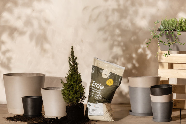 Vor einer beigen Wand sind mehrere Blumentöpfe, ein kleiner immergrüner Baum, ein Sack Blumenerde mit der Aufschrift „Erde“, verstreute Erde und eine Holzkiste mit grünen Topfpflanzen angeordnet.