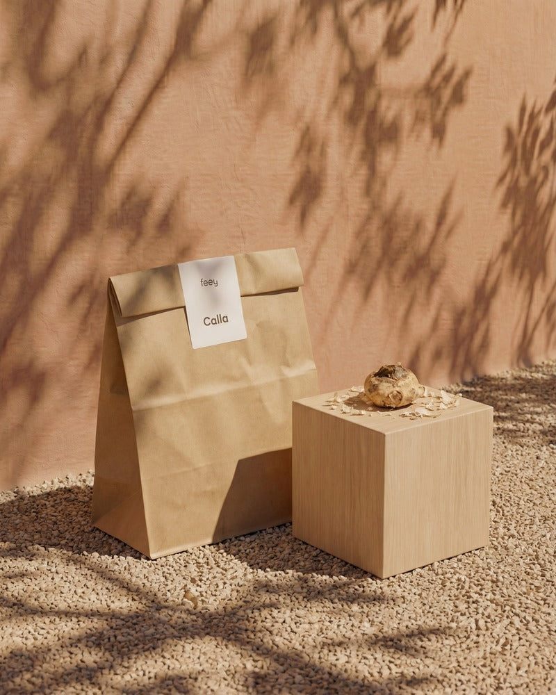 Calla-Knollen und feey-Papiertüte auf einem Holzwürfel im warmen Sonnenlicht