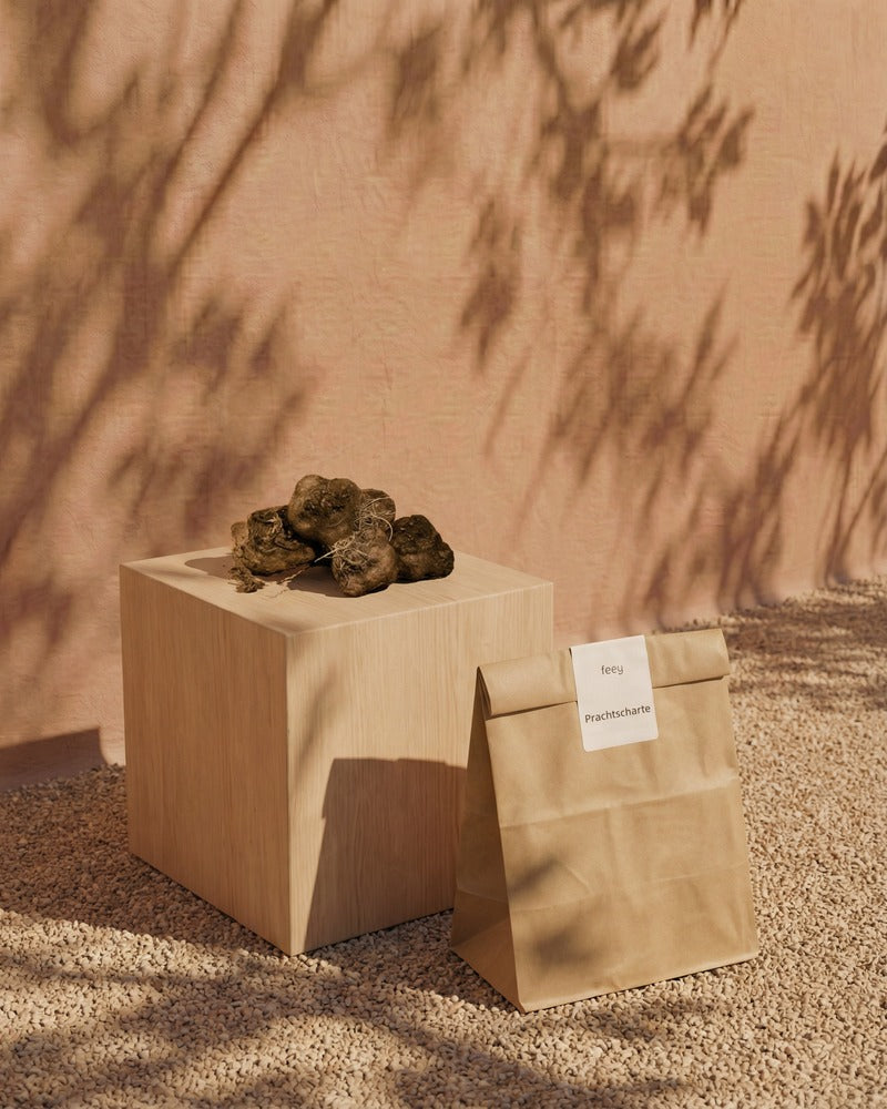 Prachtscharte-Knollen und feey-Papiertüte auf einem Holzwürfel im mediterranen Sonnenlicht