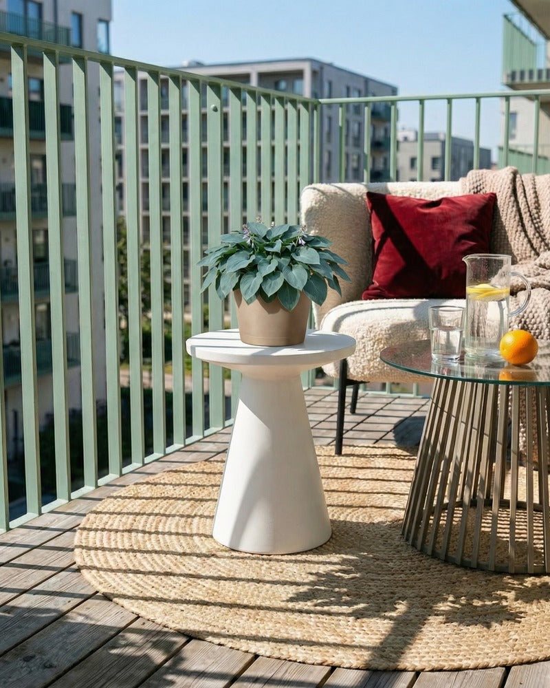 Blaue Hosta im beigen Topf auf einem sonnigen Balkon mit Lounge-Sofa