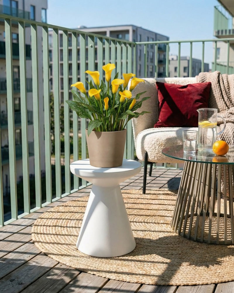 Gelbe Calla im beigen Topf auf einem sonnigen Balkon mit Lounge-Sofa