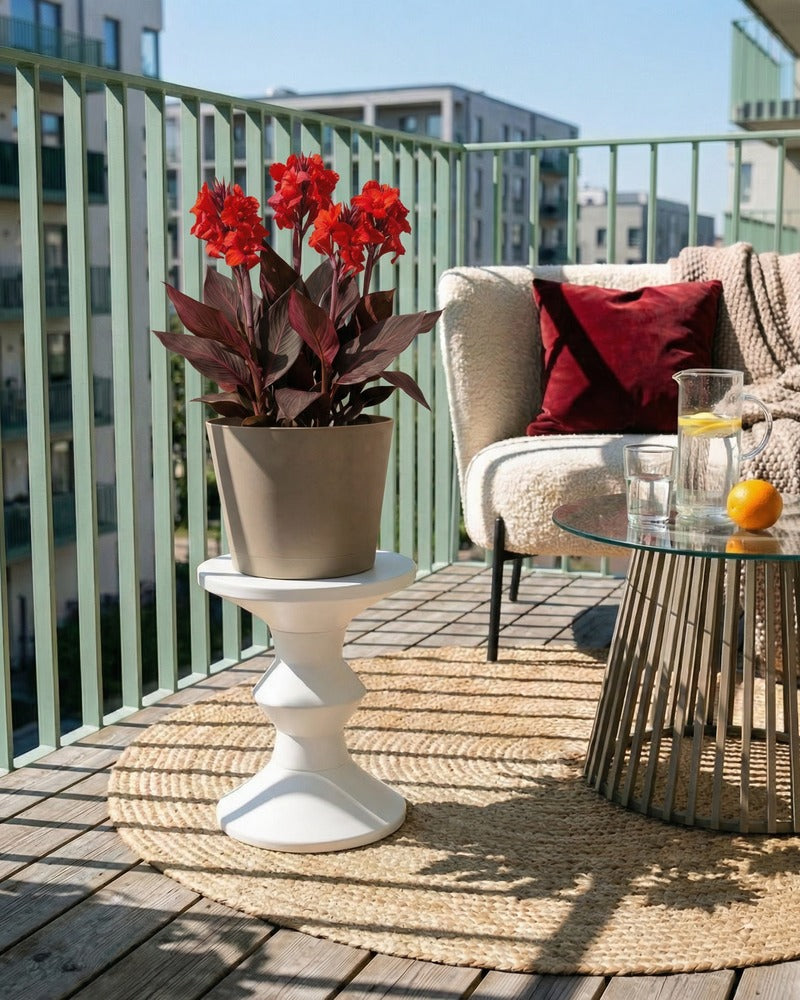Rote Canna im beigen Topf auf einem sonnigen Balkon mit Lounge-Sofa
