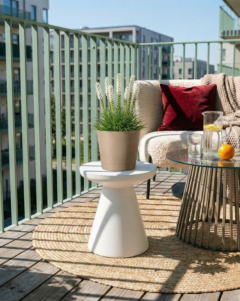 Weiss blühende Prachtscharte im beigen Topf auf einem Balkon mit Lounge-Sofa und Beistelltisch