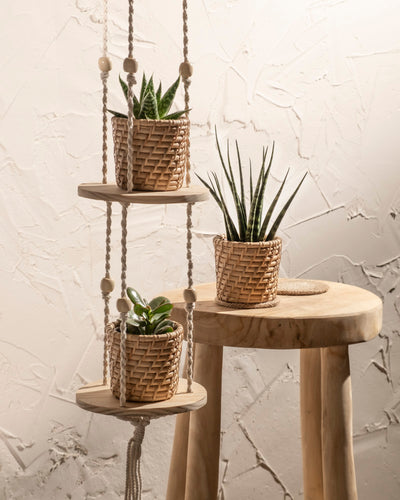 Drei Rattan-Babypflanzen-Körbe „Calen“ (3 Stk.) werden ausgestellt: Zwei hängen auf einem Seilregal neben einem hellen Holzhocker, auf dem der dritte Korb mit einer kleinen Pflanze steht, alles vor einer strukturierten weißen Wand.