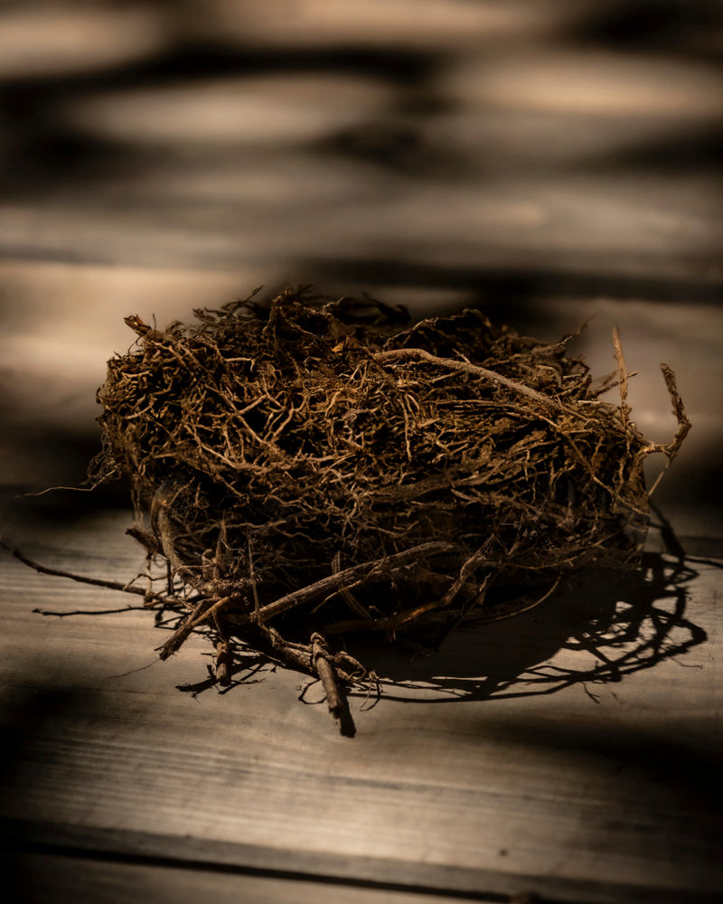 Ein Vogelnest aus Zweigen und getrocknetem Gras liegt im gesprenkelten Sonnenlicht auf Holz, wobei zarte Zweige Schafgarbe (orange-braun) zwischen die Naturmaterialien eingeflochten sind.