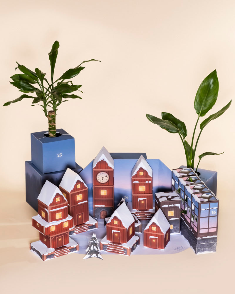 Eine dekorative Szene mit Papierhäusern, die an ein verschneites Dorf erinnern, jedes gestaltet wie der Pflanzen Adventskalender. Dahinter bringen pflegeleichte Pflanzen in blauen Behältern aus dem Pflanzen-Adventskalender leuchtendes Grün in die festliche Auslage.
