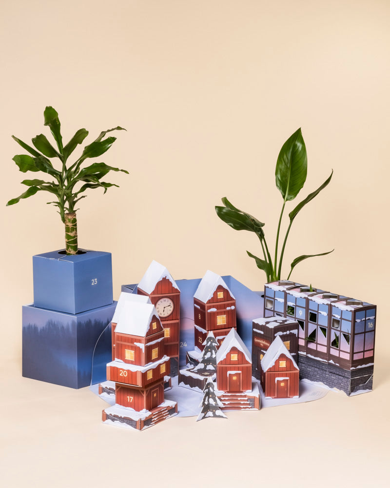 Eine festliche Auslage mit schneebedeckten Papphäusern, zwei pflegeleichten Pflanzen in blauen Töpfen und der Pflanzen-Adventskalender-Box mit Fächern, arrangiert auf einem hellen Hintergrund.