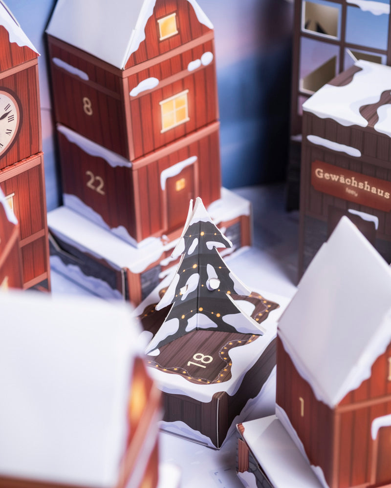 Pflanzen Adventskalender (Dschungel-Version)