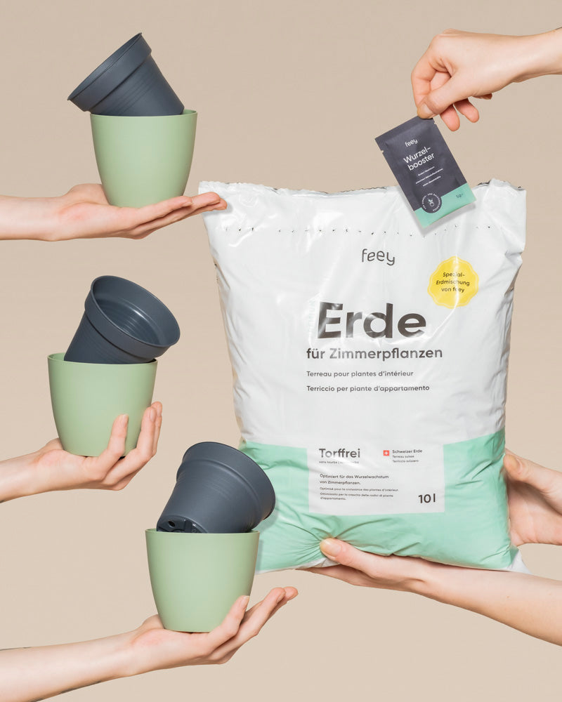Fünf Hände zeigen das Umtopfset für Babypflanzen: drei halten kleine grüne Töpfe mit grauer Einlage, einer hebt eine große weiße Tüte "Erde für Zimmerpflanzen" und ein anderer zeigt ein Wurzelbooster-Paket - ideal für das nächste Umtopfen von Babypflanzen!.