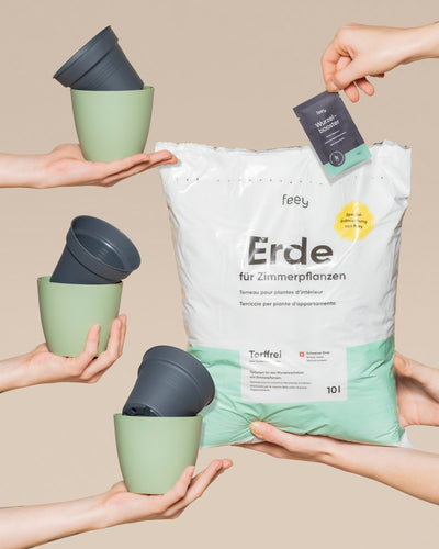 Fünf Hände zeigen das Umtopfset für Babypflanzen: drei halten kleine grüne Töpfe mit grauer Einlage, einer hebt eine große weiße Tüte "Erde für Zimmerpflanzen" und ein anderer zeigt ein Wurzelbooster-Paket - ideal für das nächste Umtopfen von Babypflanzen!.