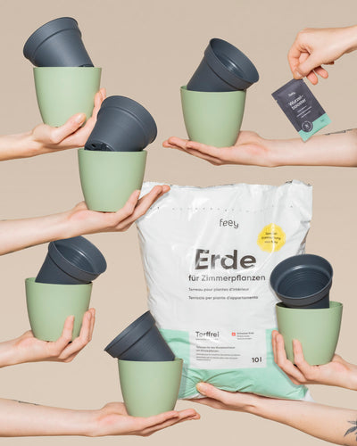 Mehrere Hände halten grüne und schwarze Pflanzentöpfe um einen großen Beutel mit frischer Erde für Zimmerpflanzen. Eine Hand hält ein kleines Päckchen, perfekt für Ihr Umtopfset für Babypflanzen, alles vor einem beigen Hintergrund.