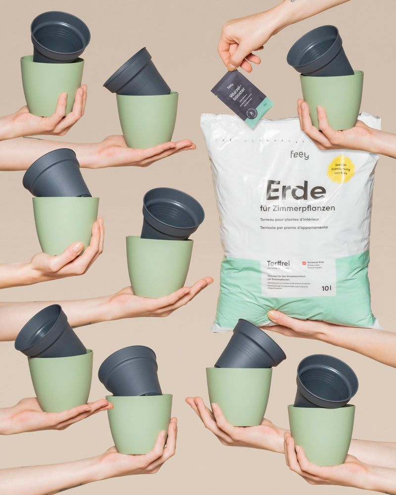 Mehrere Hände halten grüne Pflanzentöpfe mit schwarzer Auskleidung, die um eine große weiße Tasche "Erde für Zimmerpflanzen" angeordnet sind. Eine Hand hält eine Karte darüber. Beigefarbener Hintergrund - ideal für Ihr Umtopfset für Babypflanzen.