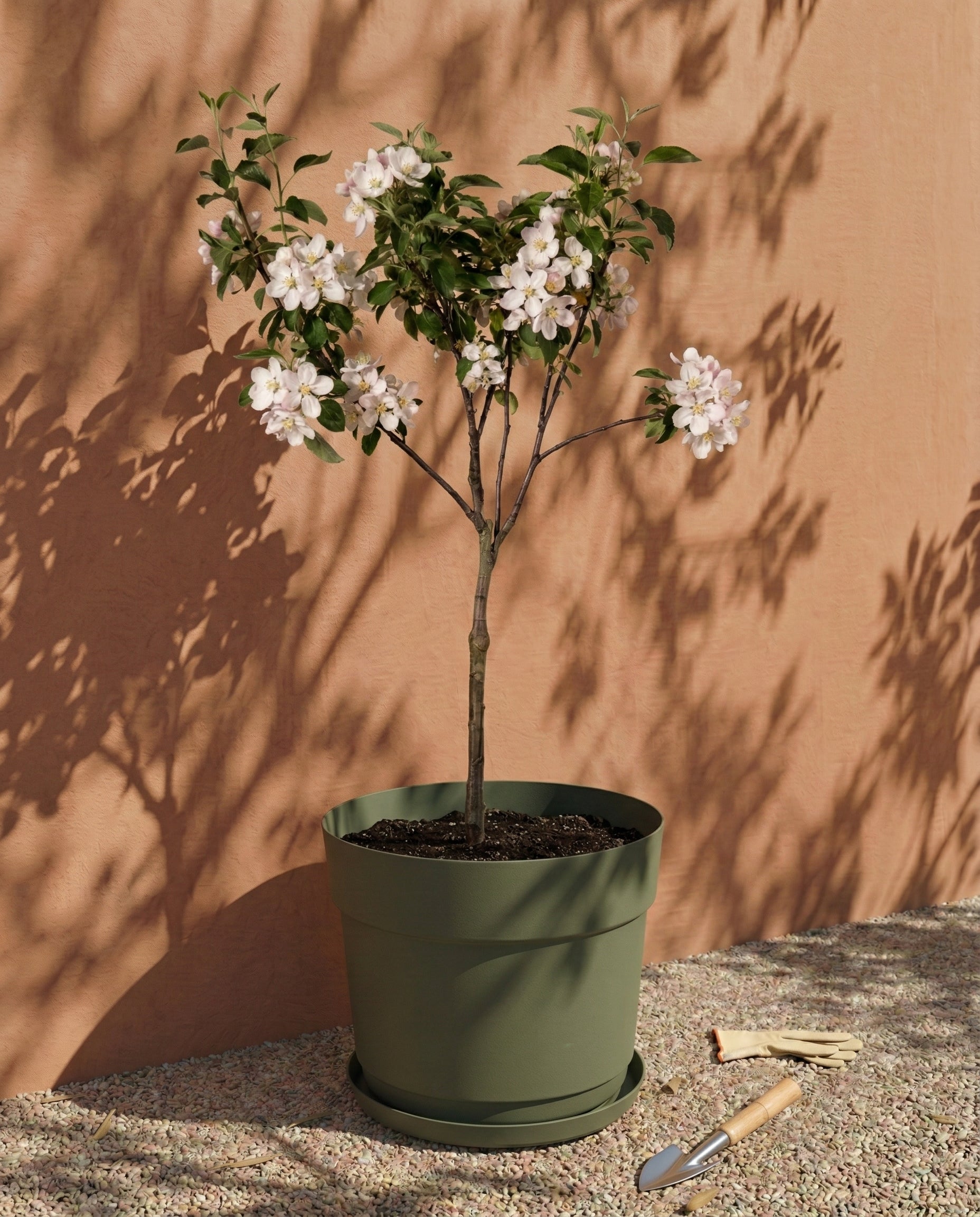 Kunststoff Pflanzkübel (Bloom | 38 cm Ø)