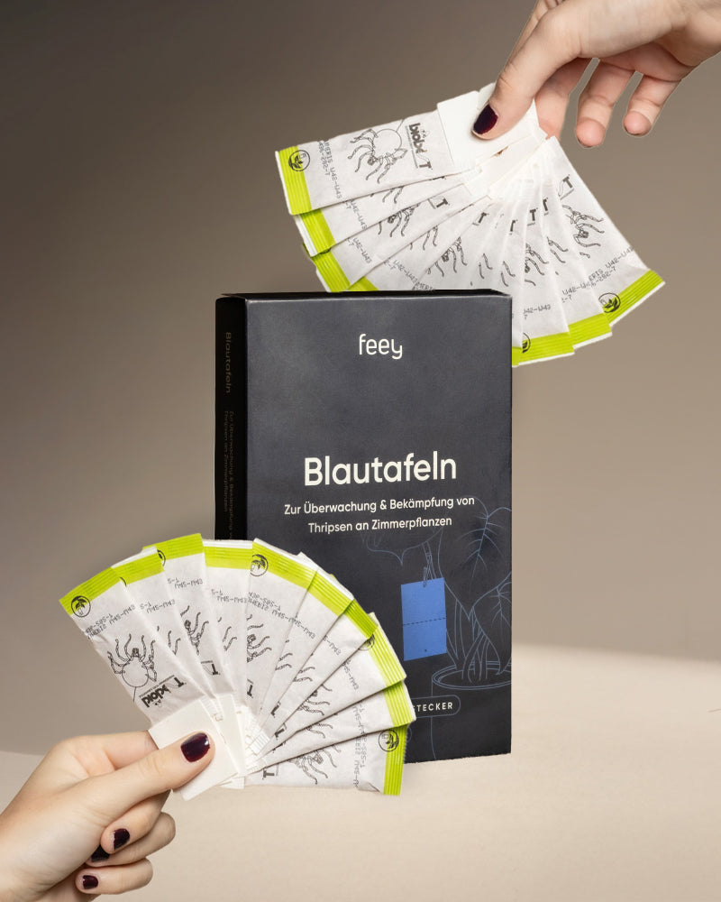 Bekämpfungsset gegen Thripse