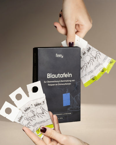 Bekämpfungsset gegen Thripse