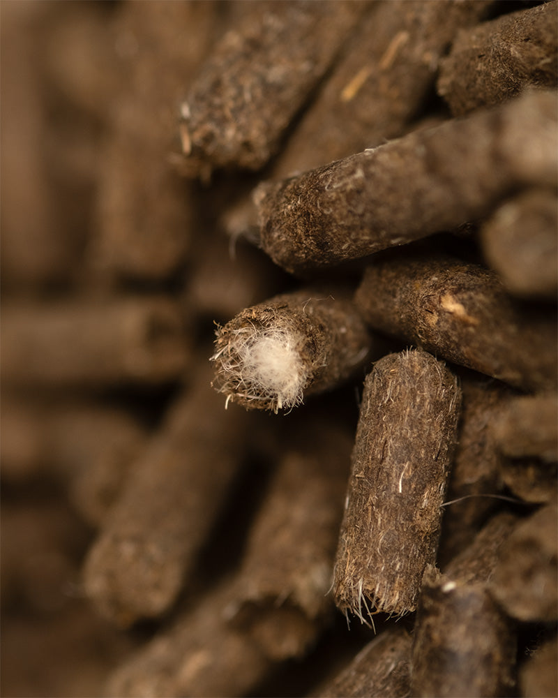 Nahaufnahme von einem Dünger Pellets von feey