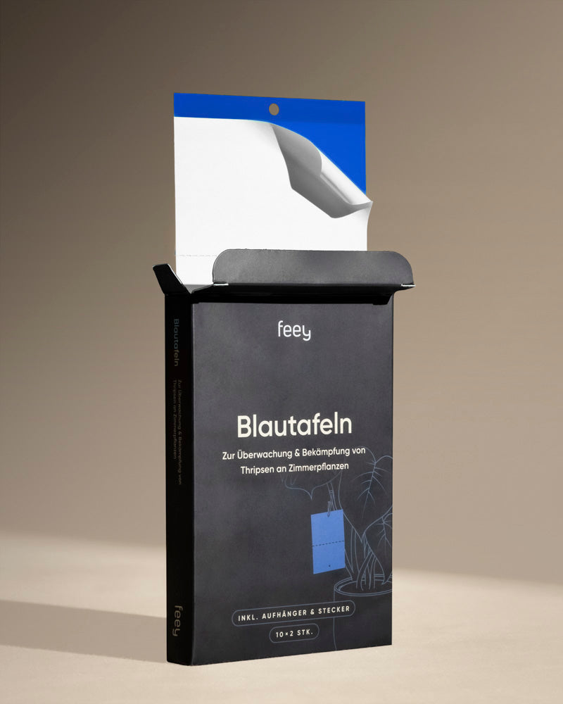 Eine offene schwarze Box mit der Aufschrift „Bekämpfungsset gegen Thripse“ zeigt eine teilweise entfernte blaue Klebefalle mit weißer Rückseite, die zur Überwachung und Bekämpfung von Thripse an Zimmerpflanzen entwickelt wurde und auf einer neutralen Oberfläche steht.