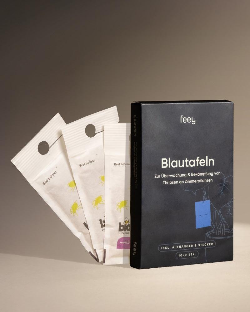 Neben drei weißen, fächerförmigen Päckchen mit gelben Insektenmotiven steht ein schwarzer Karton mit der Aufschrift „Bekämpfungsset gegen Thripse“. Diese Verpackung dient der Überwachung und Bekämpfung von Thripsen an Zimmerpflanzen.