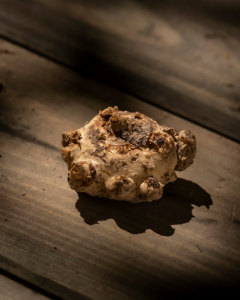Eine einzelne Calla-Blume (Rosa) liegt auf einer Holzoberfläche, beleuchtet durch einen Sonnenstrahl, wobei Schatten über den Hintergrund fallen.