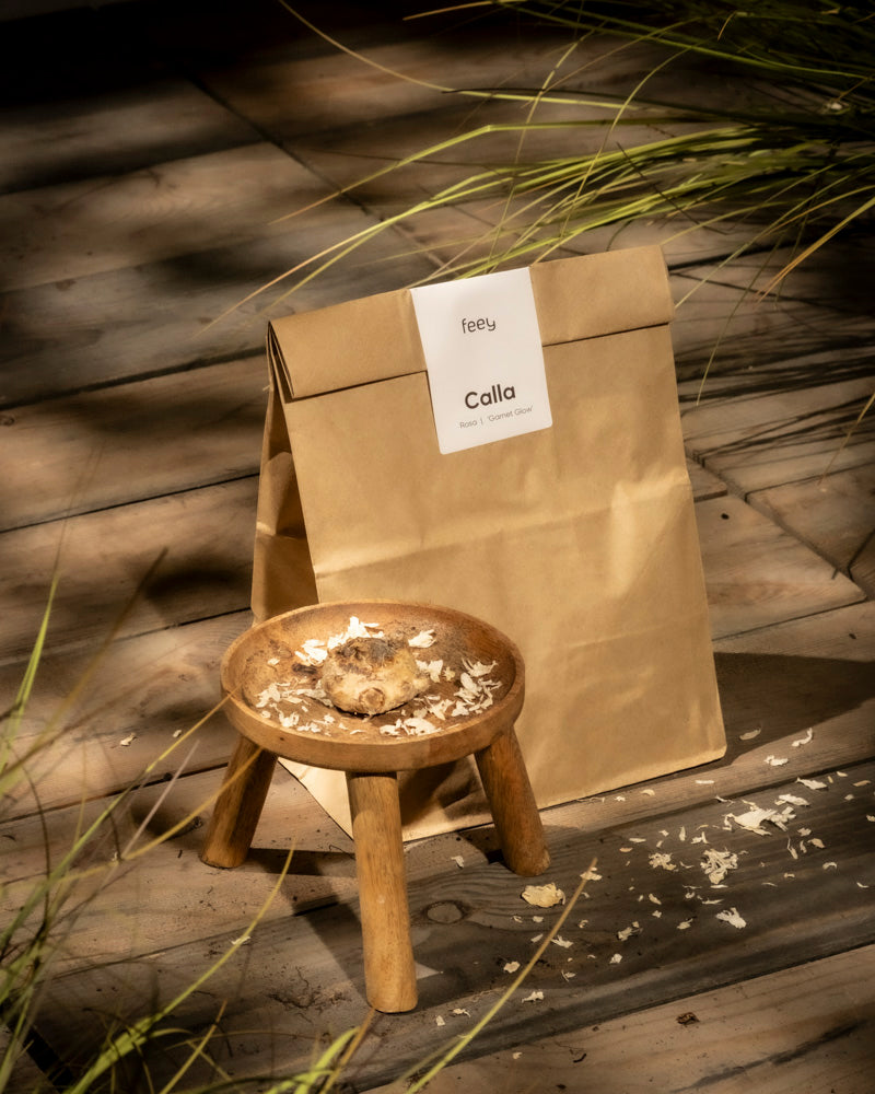 Eine braune Papiertüte mit der Aufschrift „Calla (rosa)“ steht auf einer Holzoberfläche neben einem Hocker, der mit getrockneten Zantedeschia-Rhizomstücken und einer Wurzel bedeckt ist, umgeben von grünem Gras und Sonnenlicht.