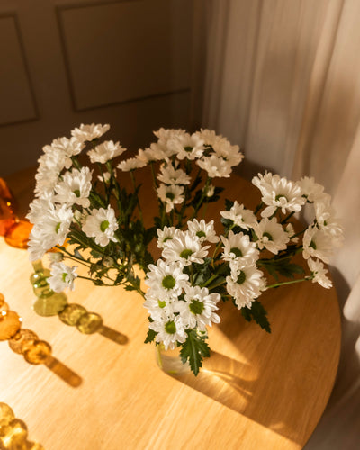Ein Strauß Chrysanthemen weiß (5 Stk.) mit grüner Mitte in einer schlanken Vase steht auf einem runden Holztisch, der von warmem Sonnenlicht beleuchtet wird.