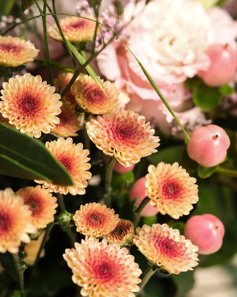 Eine Nahaufnahme von Morgenlicht, einem von Hand gebundenen Strauß mit pfirsichfarbenen Chrysanthemen, rosafarbenen Blüten, grünen Blättern, blassrosa Rosen und runden rosafarbenen Beeren in weichem Licht - perfekt für Ihr Zuhause.