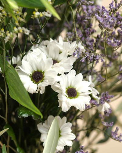 Eine Nahaufnahme des Nebelmeers mit weißen Gänseblümchen und kleinen violetten Blüten mit zarten Blüten, die mit Morgentau glänzen, umgeben von grünen Blättern und Stängeln.