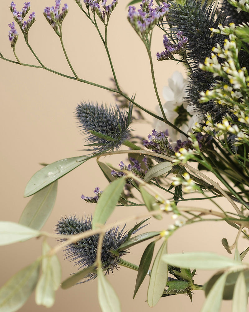 Eine Nahaufnahme des Nebelmeer-Straußes mit stacheligen blauen Disteln, zartvioletten Blüten, weißen Blüten und hellgrünen Blättern vor einem beigen Hintergrund.