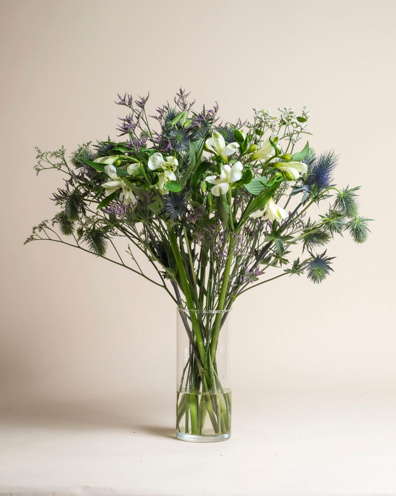 Der Strauß Wanderlust besteht aus grünen, weißen und violetten Blumen mit langen Stielen und stacheligen Blättern in einer klaren Glasvase, die an die reine Natur vor einem schlichten, hellen Hintergrund erinnert.