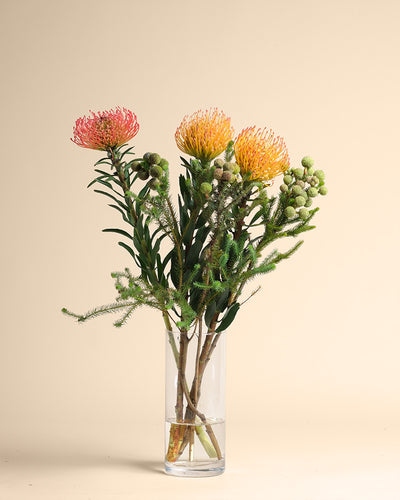 Eine Klarglasvase aus der Couture-Kollektion enthält einen leuchtenden Strauß orangefarbener und rosafarbener langstieliger Nadelkissenproteen mit grünen Blättern und runden Knospen vor einem einfarbig beigen Hintergrund.