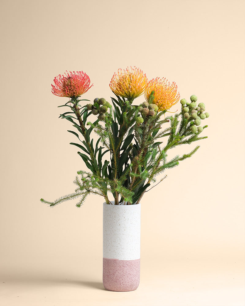 Die Couture-Keramikvase mit rosa-weißem Farbverlauf enthält einen leuchtenden feurigen Farben-Blumenstrauß mit drei Nadelkissen-Proteen und grünem Blattwerk, alles vor einem schlichten beigen Hintergrund.