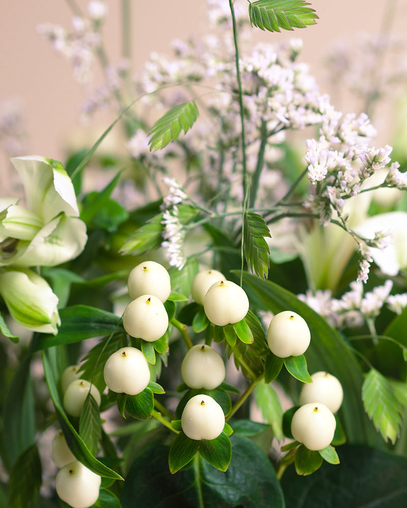 Eine Nahaufnahme von Luftkuss zeigt Büschel kleiner, runder, weißer Beeren, grüne Blätter und zarte hellviolette und weiße Blüten im Hintergrund.