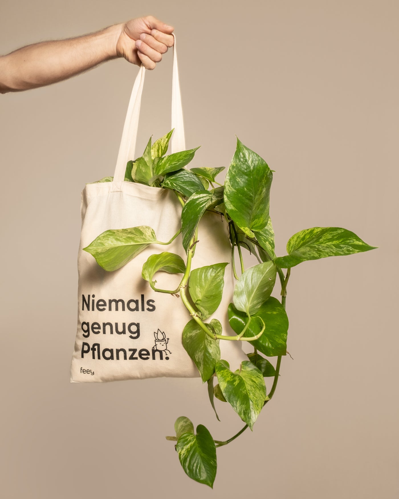 Hand hält eine Stofftasche mit dem Aufdruck «Niemals genug Pflanzen» und darin ist eine Efeutute