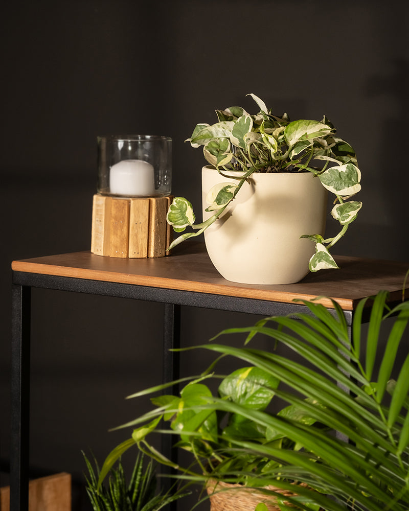 Ein minimalistisches Arrangement präsentiert eine Hydro • Efeutute N'Joy auf einem Holzregal mit einem hölzernen Kerzenhalter und einer weißen Kerze. Ein zweiter Topf mit Epipremnum pinnatum ist teilweise vor einem dunklen Hintergrund sichtbar.