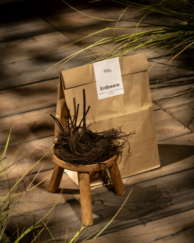 Auf einem Holzboden liegt eine Papiertüte mit der Aufschrift „Erdbeere“ neben einem Wurzelstockbündel, das auf einem kleinen Holzhocker ausgestellt ist. Sonnenlicht hebt die natürlichen Texturen dieser Gartenerdbeere-Szene hervor.