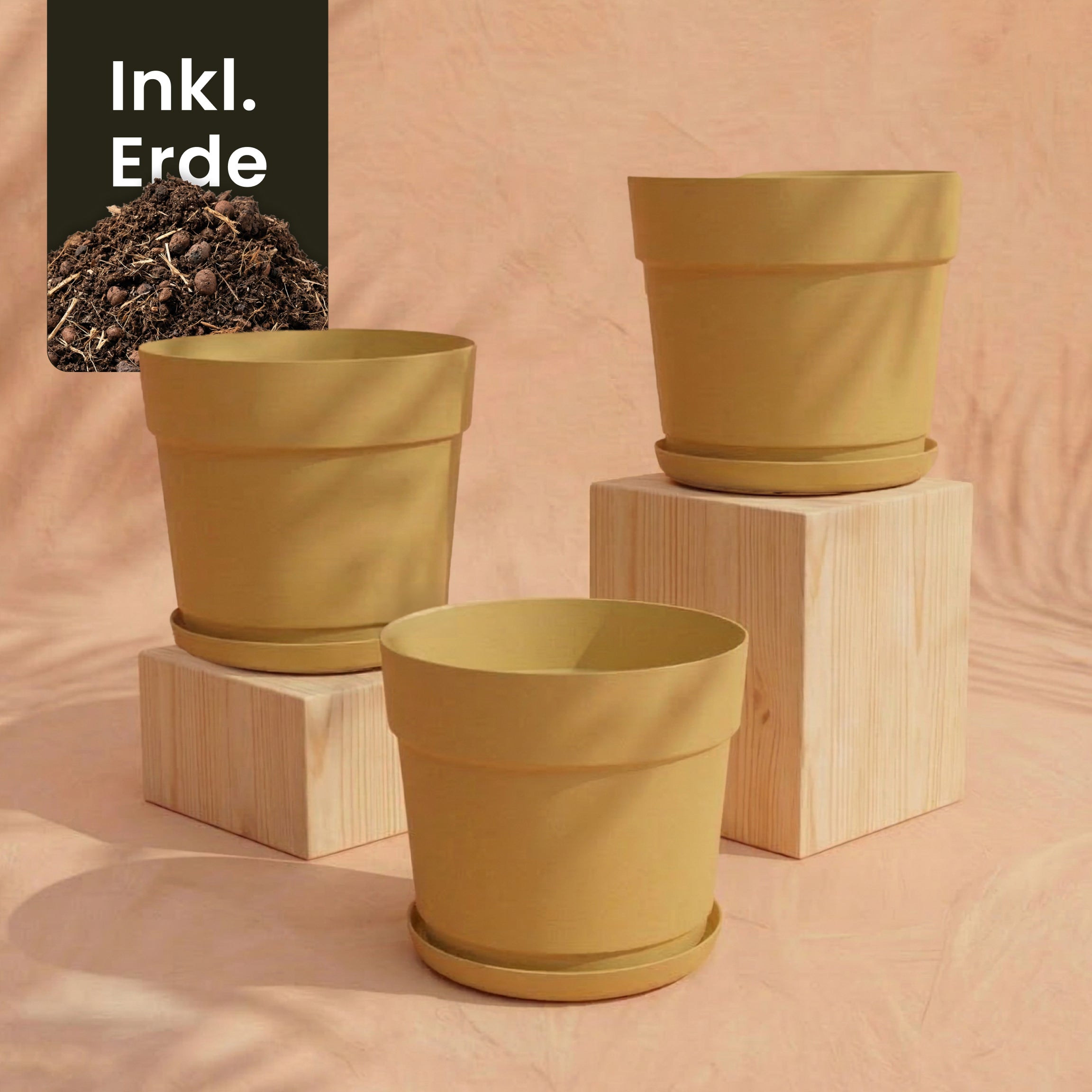 Drei gelbe Pflanzkübel-Set 'Bloom' (3× 29) mit passenden Untertassen sind auf hellen Holzblöcken vor einem pfirsichfarbenen Hintergrund angeordnet. Ein Ecketikett zeigt Erde und 