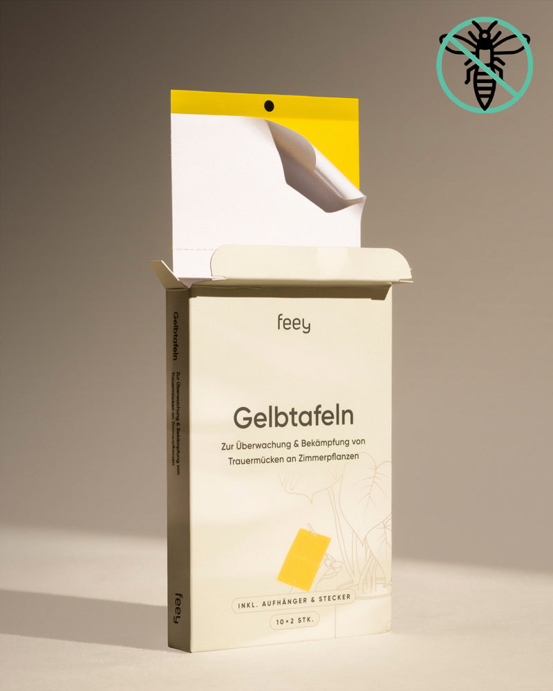 Eine geöffnete Schachtel Gelbtafeln steht aufrecht auf einer beigen Fläche, mit einer teilweise herausgezogenen gelben Klebefalle, ideal zur Reduzierung von Trauermücken und anderen Schädlingen. Der Hintergrund ist neutral.