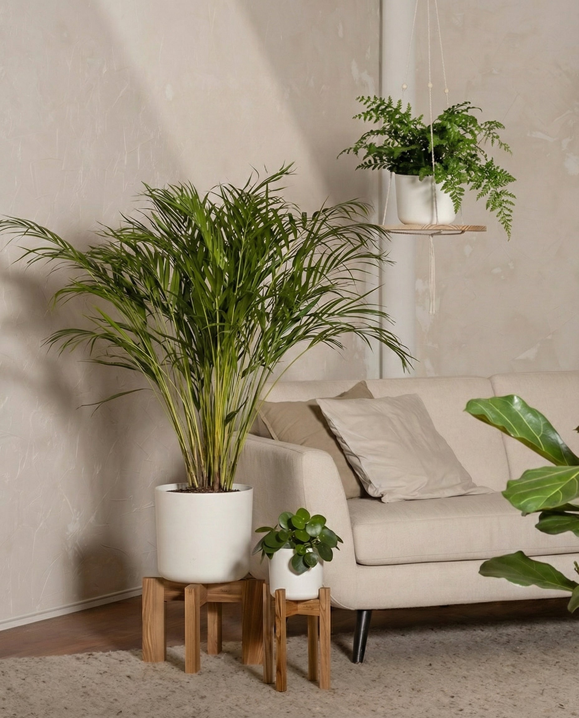 Tierfreundliches Pflanzen-Set