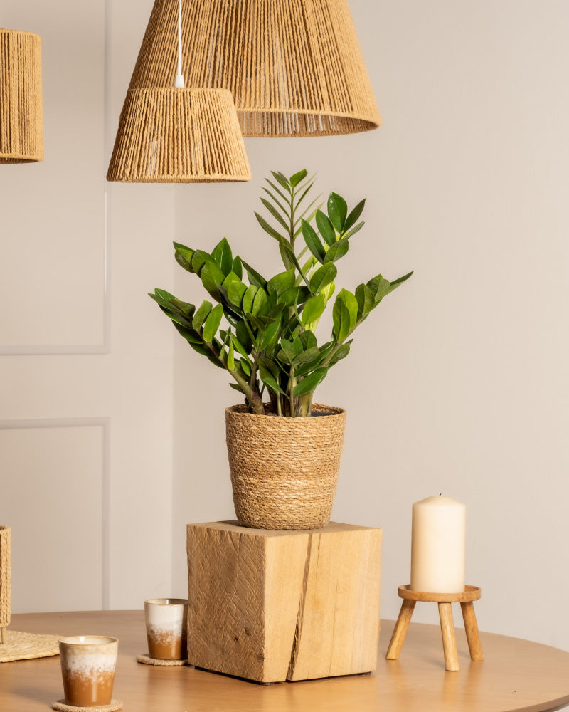 Eine getöpferte Glücksfeder sitzt auf einem Holzblock, umgeben von Kerzen und Getränken auf einem Holztisch, über dem geflochtene Lampenschirme in einem minimalistischen, neutral getönten Raum hängen.