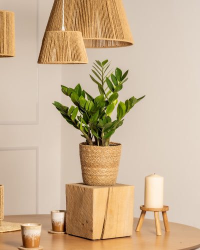 Eine getöpferte Glücksfeder sitzt auf einem Holzblock, umgeben von Kerzen und Getränken auf einem Holztisch, über dem geflochtene Lampenschirme in einem minimalistischen, neutral getönten Raum hängen.