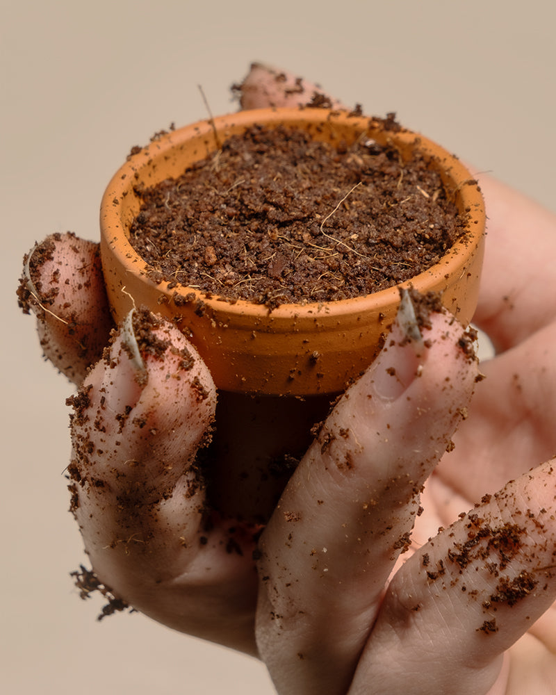 Eine mit Erde bedeckte Hand hält einen kleinen, mit Erde gefüllten Topf. Die Finger und Nägel sind schmutzig, was auf Gartenarbeit oder das Pflanzen von Glücksklee vor einem sanften cremefarbenen Hintergrund hindeutet.